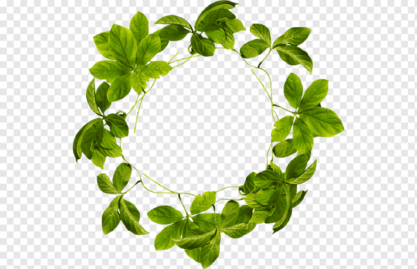 Зелень круг