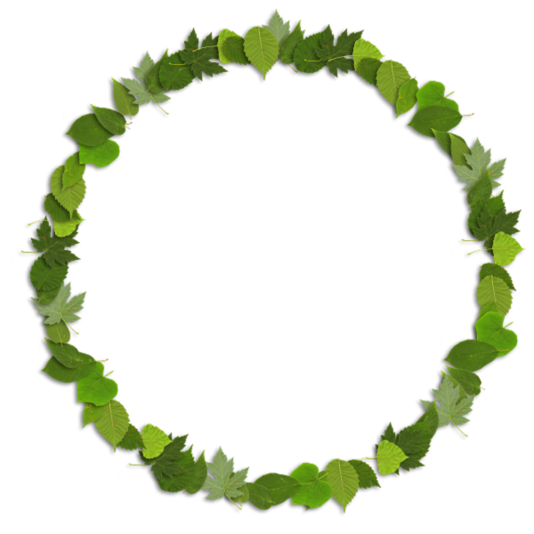 Круглая рамка из зелени