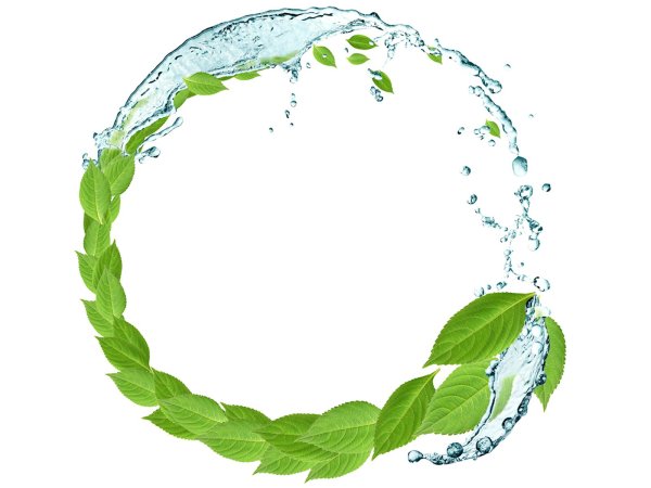 Листья по кругу