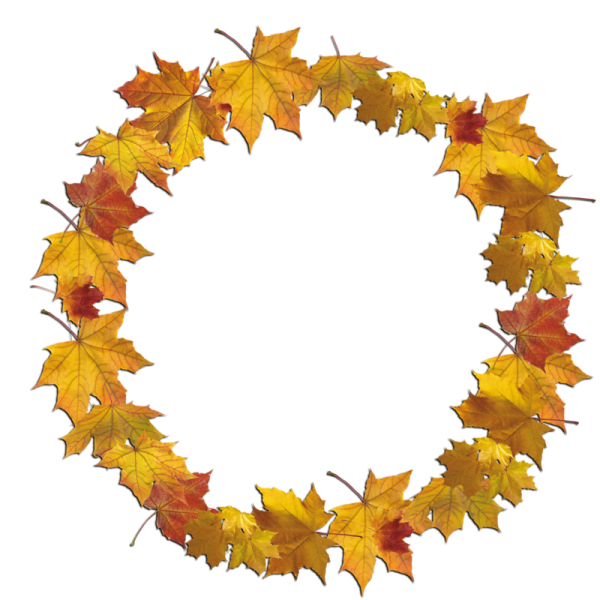Рамка из осенних листьев на прозрачном фоне