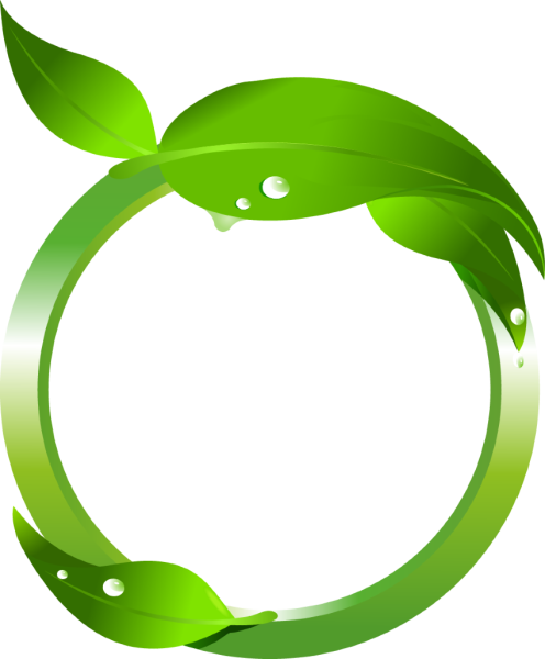 Зеленый лист вектор