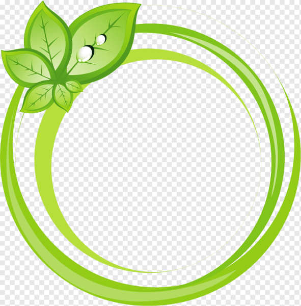 Салатовая рамка