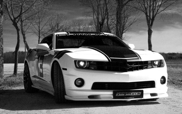 Шевроле Камаро бело черная