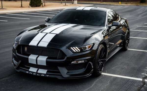 Ford Mustang Shelby gt350 чёрный