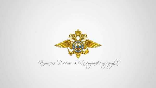 Фон МВД