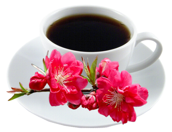 Кофе и цветы