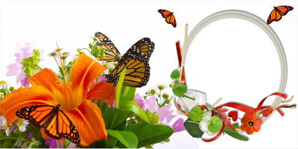 Рамки для кружек