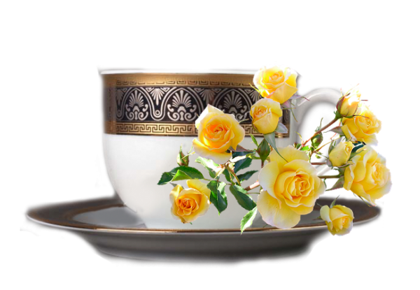 Цветы в чашке на прозрачном фоне