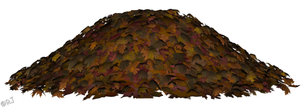 Кучка осенних листьев