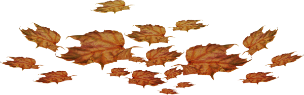 Опавшая листва на прозрачном фоне
