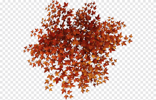 Осенние кусты на прозрачном фоне