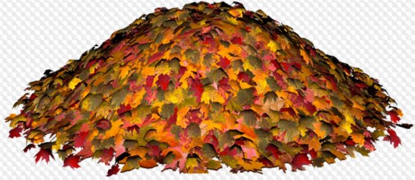 Гора листьев