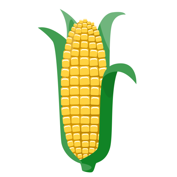 Кукуруза рисунок