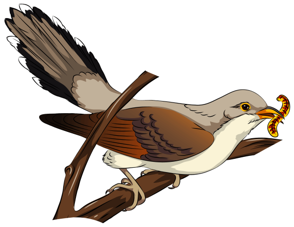 Мультяшные Кукушка