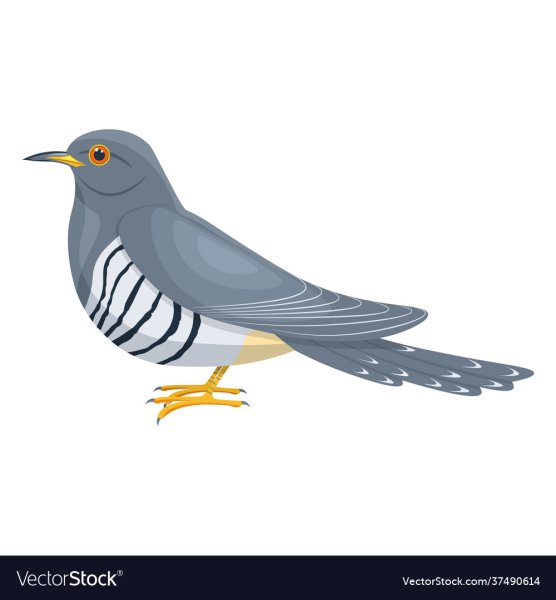 Кукушка мультяшная