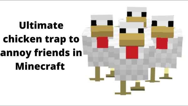 Постер курицы из МАЙНКРАФТА