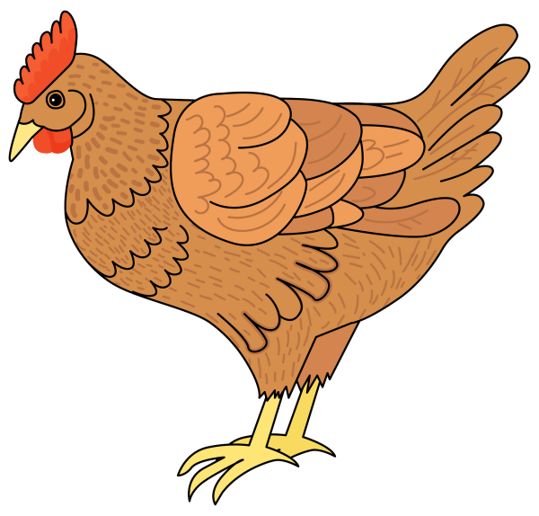 Курица картинка для детей
