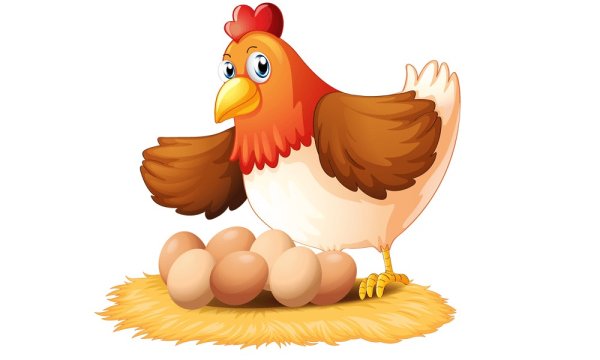 Курица рисунок