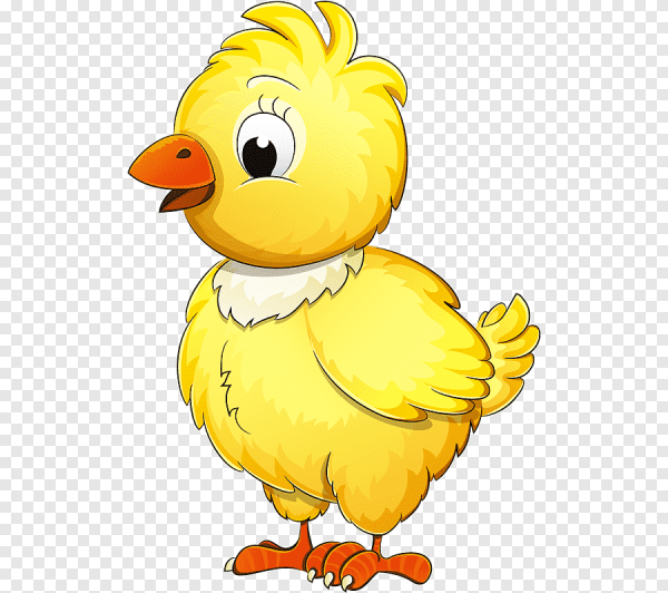 Цыплята мультяшные