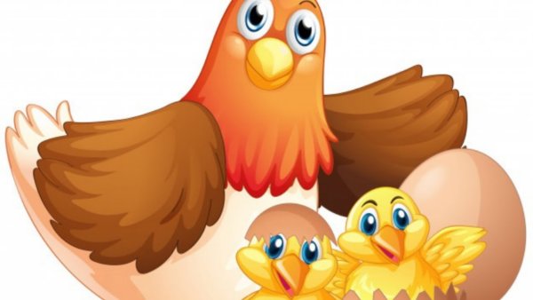 Курица наседка для детей