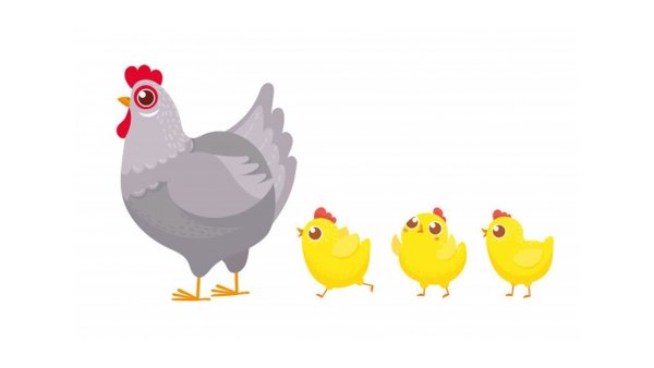 Курица с цыплятами вектор