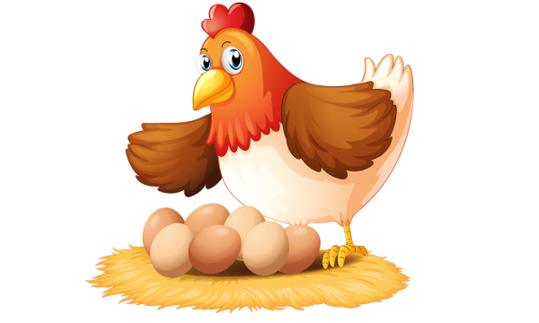 Курица рисунок