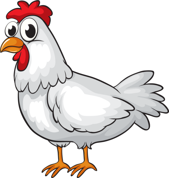 Курица мультяшная на белом фоне