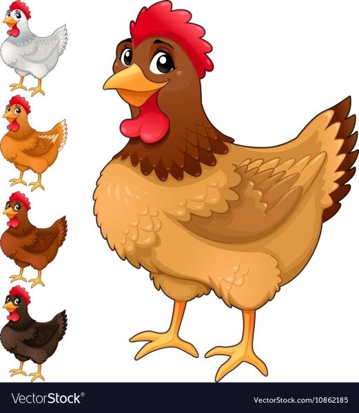 Курица мультяшная на белом фоне