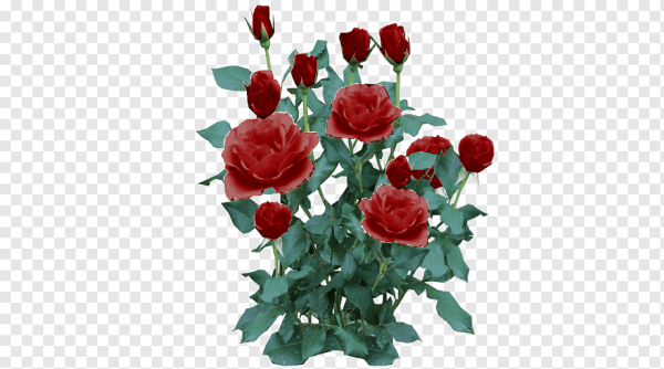 Красная кустовая роза на белом фоне