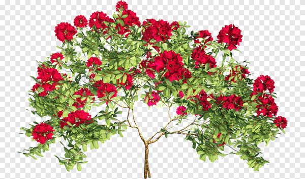 Цветы кусты на прозрачном фоне