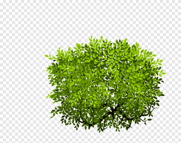 Векторные кусты