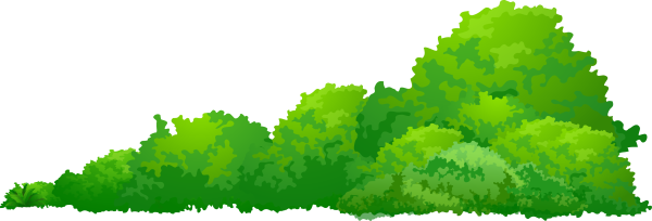 Лес на белом фоне