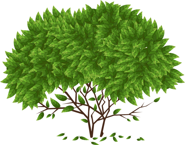 Куст на прозрачном фоне