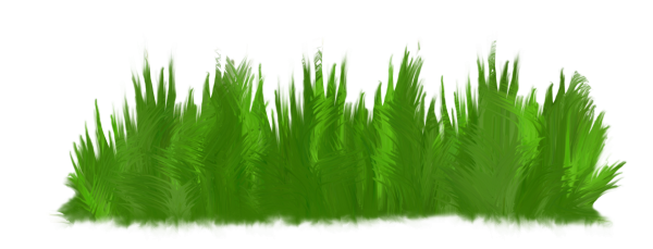 Сказочная травка