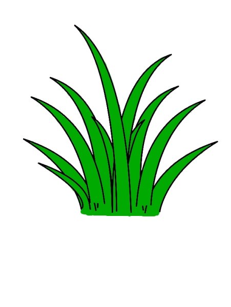 Кустик рисунок