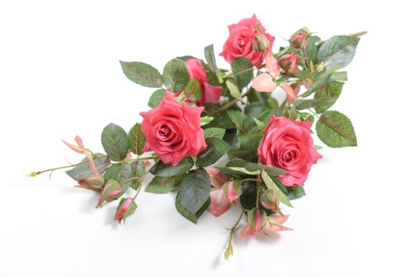 Роза куст Натали