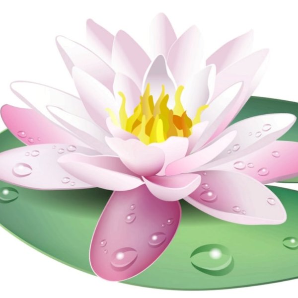 Сказочные кувшинки