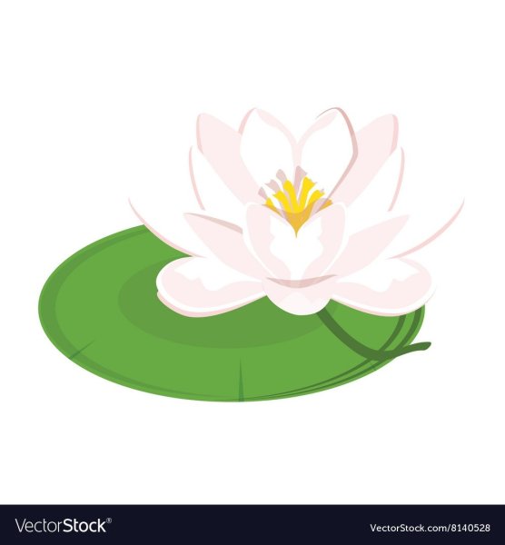 Кувшинка для детей