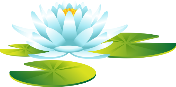 Кувшинка для детей