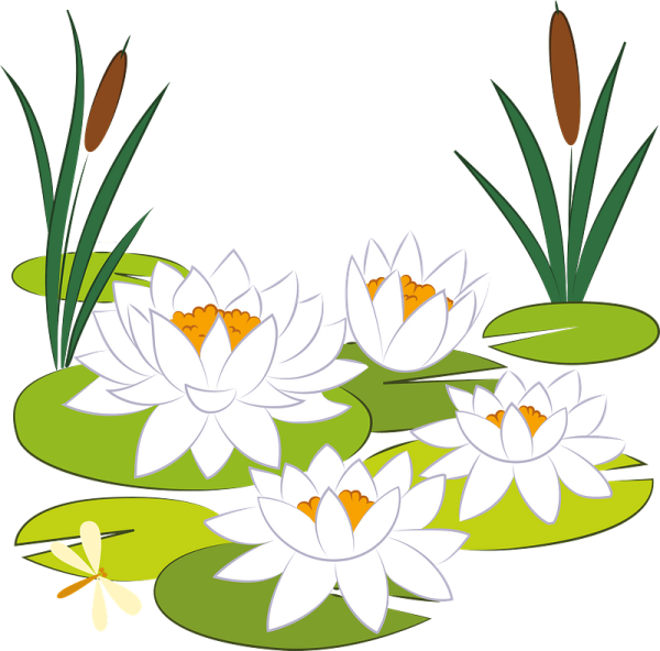 Кувшинки мультяшные