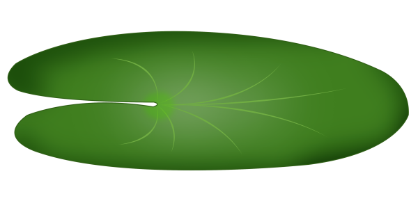 Листок кувшинки