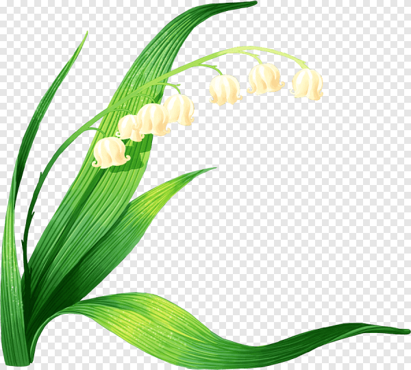 Ландыши вектор