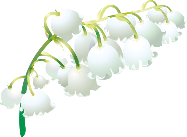 Ландыш клипарт