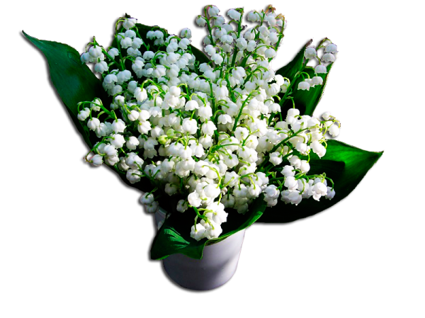 Букетик ландышей