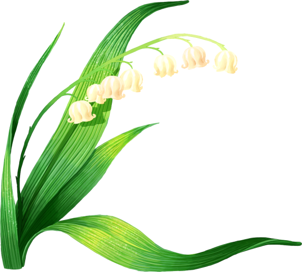 Ландыши мультяшные