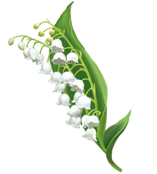 Рамка овальная Ландыши