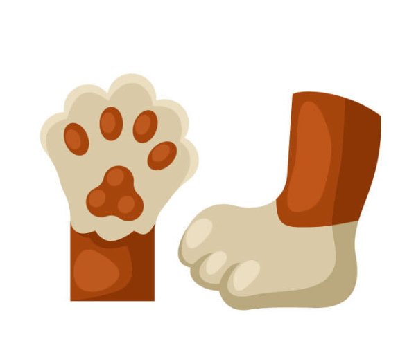 Лапки мультяшные