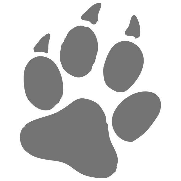 Отпечаток лапы собаки
