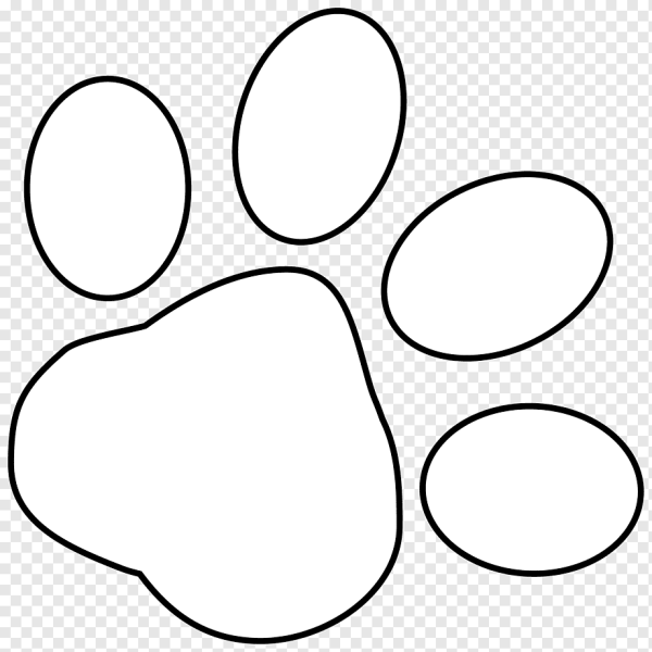 Лапка раскраска