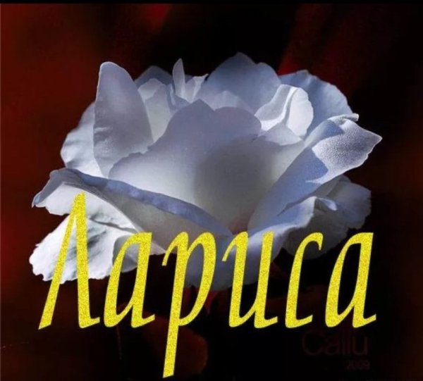 Цветы для Ларисы